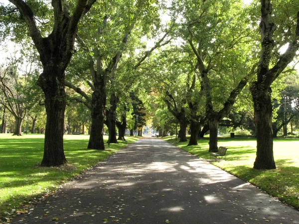 Walkway, Carlton Gardens, Melbourne, Austrália — Fotografia de Stock