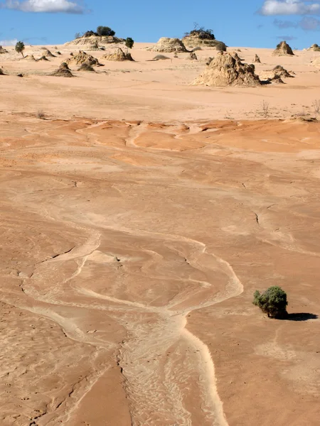 Parc national des lacs Willandra, UNESCO, Australie — Photo