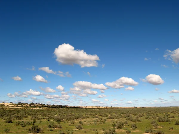 Grasvlakten - Willandra Lakes National Park, UNESCO, Australië — Stockfoto