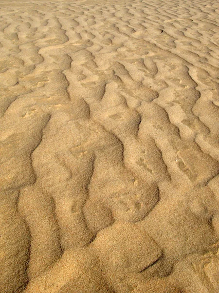 Willandra Lakes National Park, UNESCO, Austrália — Fotografia de Stock