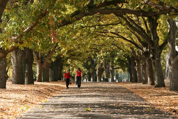 Passerella, giardini del carlton, melbourne, australia — Foto Stock