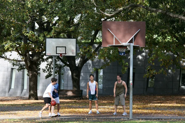 Jugando al baloncesto - Carlton Gardens, Melbourne, Australia —  Fotos de Stock