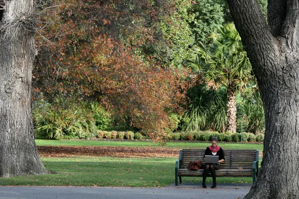 Fitzroy gardens, melbourne, Australië — Stockfoto