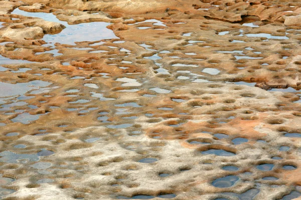 Skalní útvary u moře - Botany Bay, Sydney, Austrálie — Stock fotografie