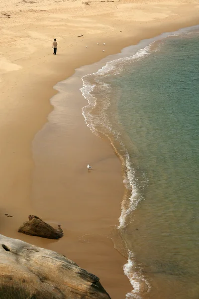 Zandstrand - botany bay, sydney, Australië — Stockfoto