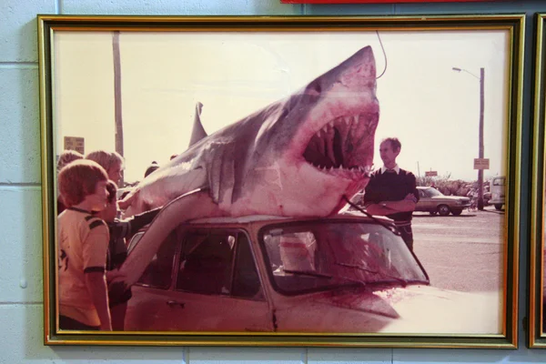 Tiburones, Australia — Foto de Stock