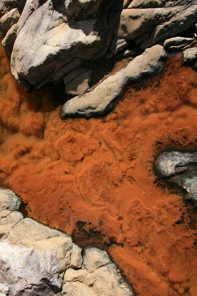 Folyó - Budapest Gorge, Ausztrália — Stock Fotó