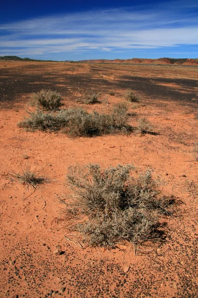 Outback - das rote Zentrum, Australien — Stockfoto