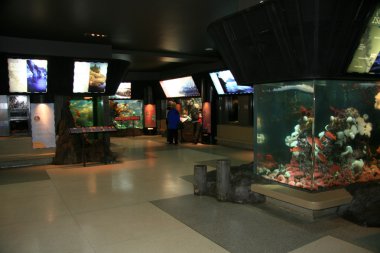 Vancouver Akvaryumu, vancouver, Kanada