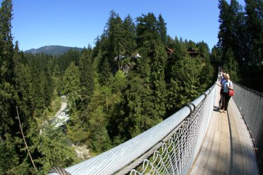 Capilano Asma Köprüsü, vancouver, Kanada