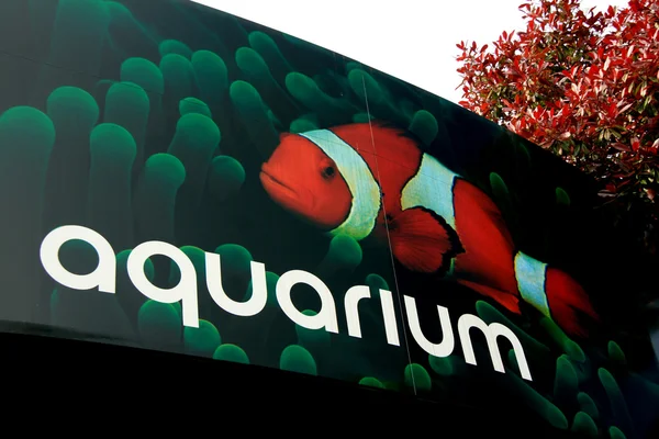 Vancouver Aquarium, Vancouver, Canadá — Foto de Stock