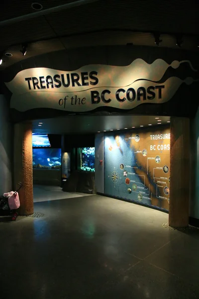 Aquarium de Vancouver, Vancouver, Canada — Photo