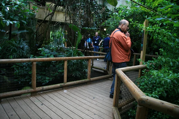 バンクーバー水族館、バンクーバー、カナダ — ストック写真