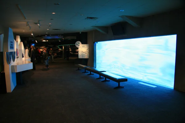 Vancouver Aquarium, Vancouver, Canadá — Foto de Stock