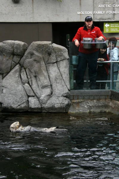Vancouver Aquarium, Vancouver, Kanada — Stock Fotó