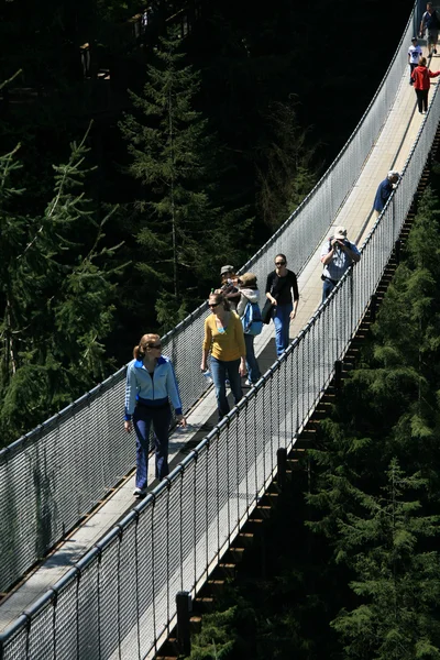 卡皮拉诺吊桥，温哥华加拿大 — 图库照片