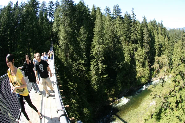 Capilano Asma Köprüsü, vancouver, Kanada — Stok fotoğraf