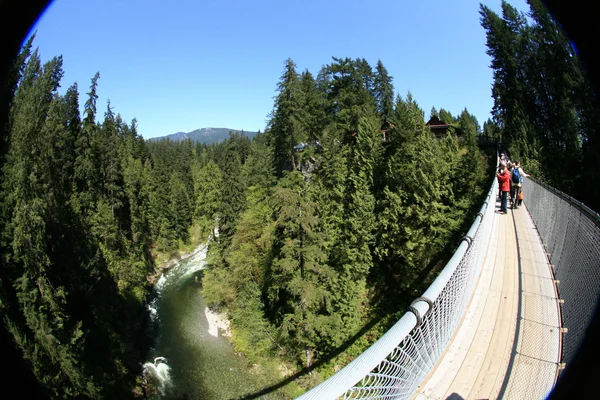 Ponte de suspensão de Capilano, Vancouver, Canadá — Fotografia de Stock