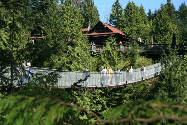 Capilano suspension bridge, vancouver, Kanada — Stockfoto