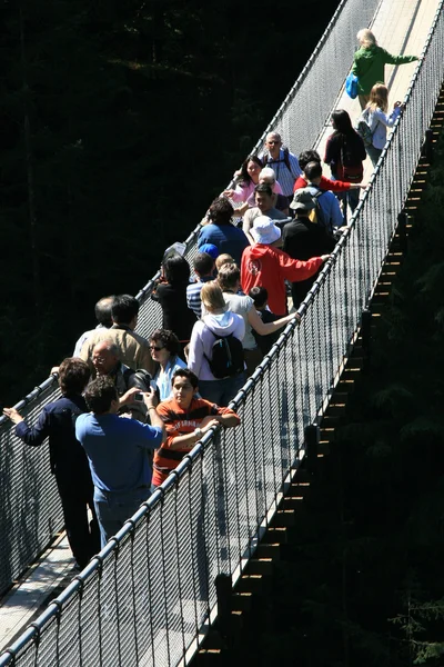 Ponte de suspensão de Capilano, Vancouver, Canadá — Fotografia de Stock