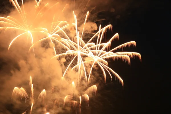 Fireworks over a lake — Stock Photo, Image