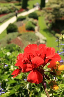 butchart gardens, victoria, bc, Kanada