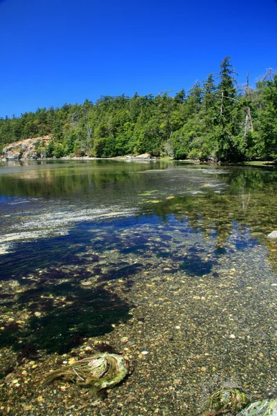 Kustlijn, victoria, bc, canada — Stockfoto