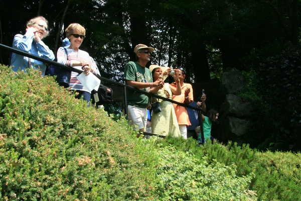 Butchart garden, victoria, bc, canada — Stockfoto