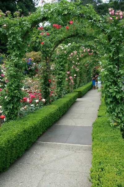 Butchart Gardens, Victoria, Colombie-Britannique, Canada — Photo