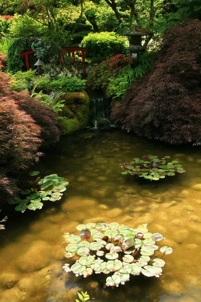 Japanese Garden - Butchart Gardens, Victoria, BC, Canada — Stock Photo, Image
