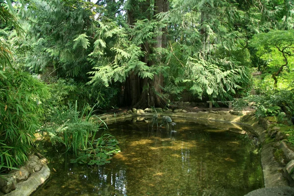 Japanse tuin - butchart tuinen, victoria, bc, canada — Stockfoto