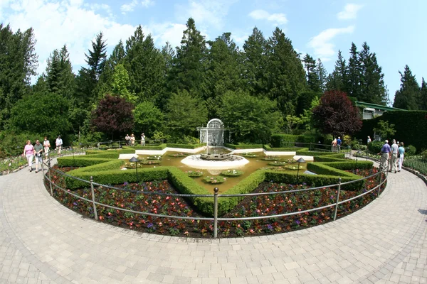 Butchart gardens, victoria, bc, Kanada — Stok fotoğraf