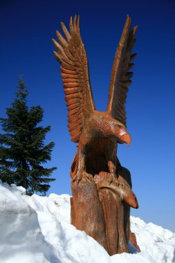 kartal heykeli - vancouver, bc, Kanada