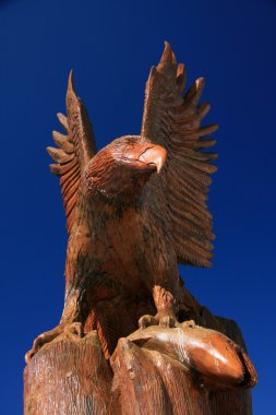 kartal heykeli - vancouver, bc, Kanada