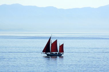 Sailing Ship - Coastline, Victoria, BC, Canada