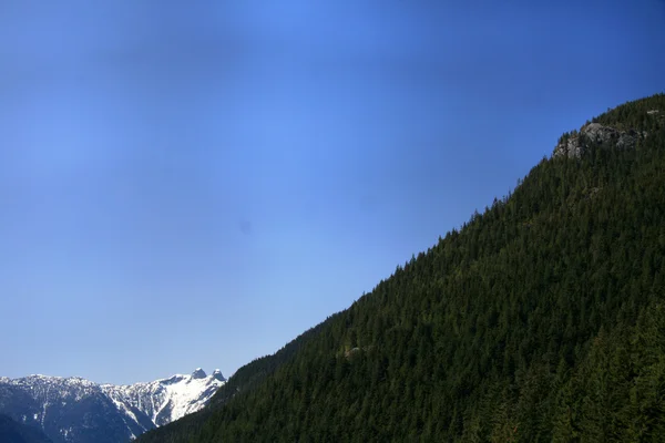 Grouse Mountain, Ванкувер, Британская Колумбия, Канада — стоковое фото