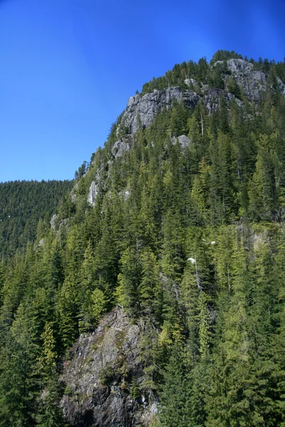 Grouse Mountain, Vancouver, Bc, Canada — Stockfoto