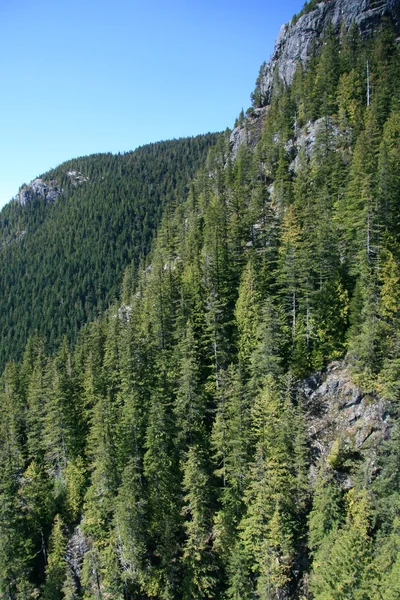 Grouse Mountain, Vancouver, Bc, Kanada — Stock Fotó