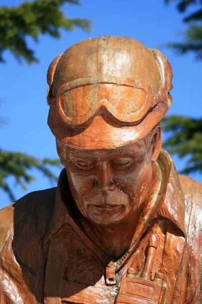 Statuen - Raufußhuhn, Vancouver, Bc, Canada — Stockfoto