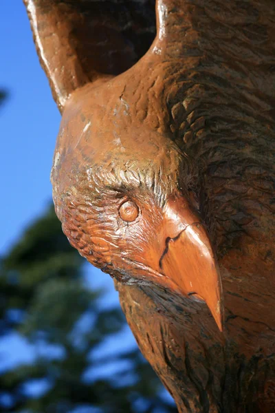 Estátua da águia - Montanha do musgo, Vancouver, BC, Canadá — Fotografia de Stock