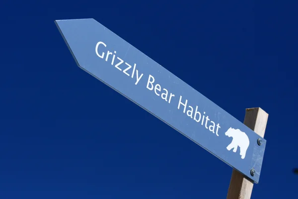 Grizzly Bear Habitat - Grouse Mountain, Vancouver, BC, Canadá — Foto de Stock