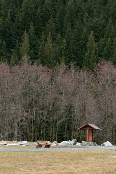 Montagna gallo cedrone, vancouver, bc, canada — Foto Stock