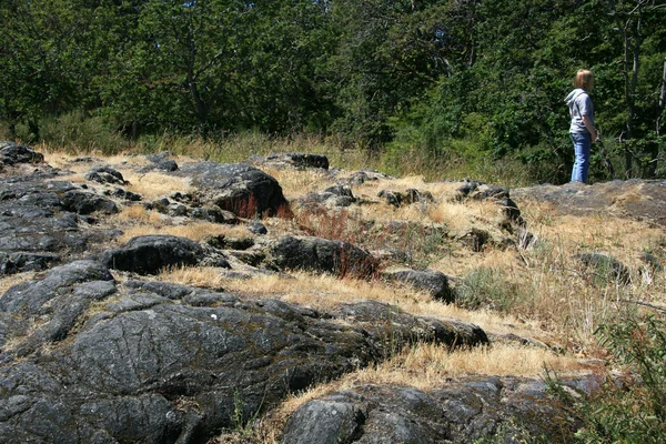 岩が多い地面 - ビーコンヒル公園、ビクトリア、bc 州、カナダ — ストック写真