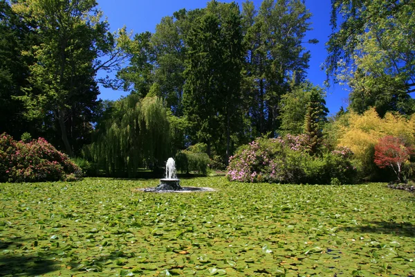 Beacon Hill Park, Victoria, BC, Canadá — Foto de Stock