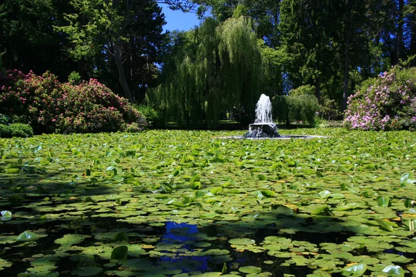 Бикон Хилл Парк, Виктория, Британская Колумбия, Канада — стоковое фото