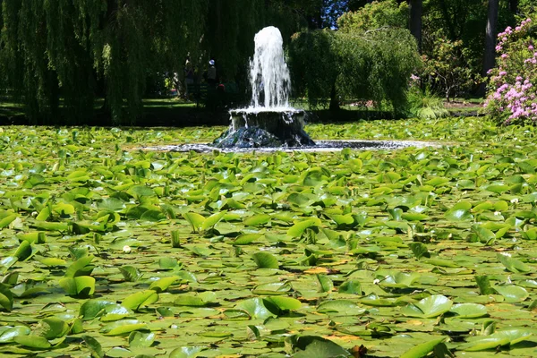 Beacon Hill Park, Victoria, Bc, Canada — Stockfoto