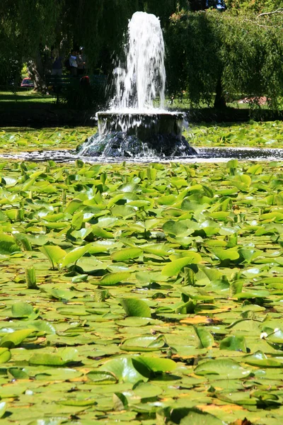 Beacon Hill Park, Victoria, BC, Canadá — Fotografia de Stock