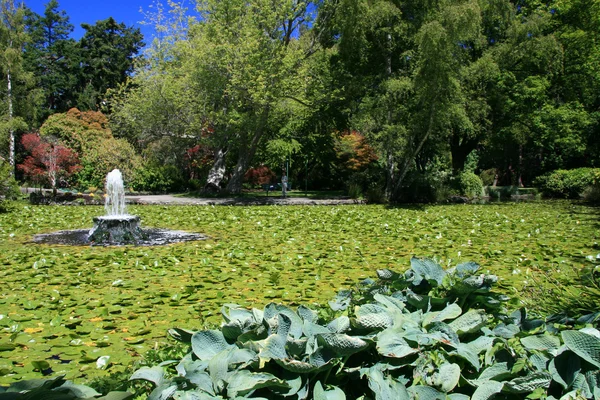 Beacon hill park, victoria, bc, Kanada — Stok fotoğraf