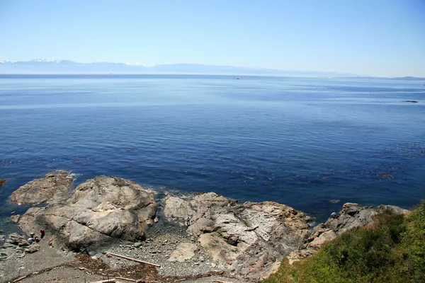 Coastline, Victoria, BC, Canadá —  Fotos de Stock