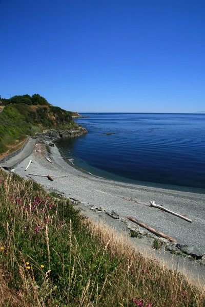 Secret Bay - Küste, Victoria, BC, Kanada — Stockfoto